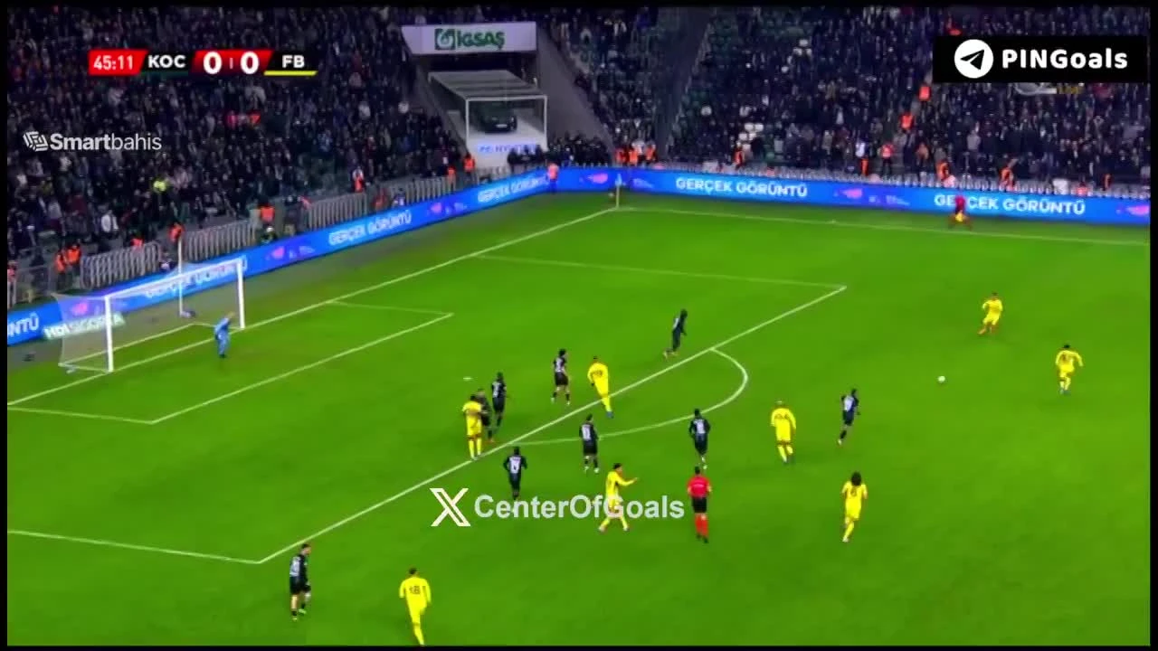 zaslepka skrotu video