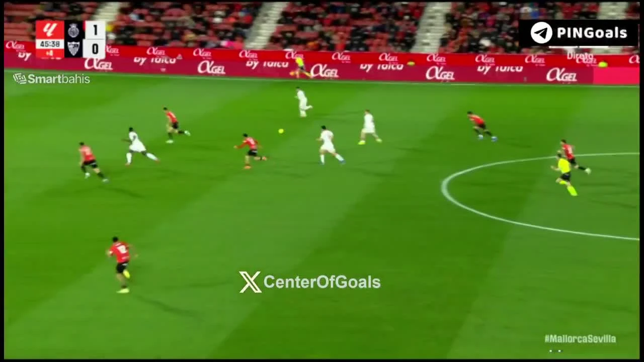 zaslepka skrotu video