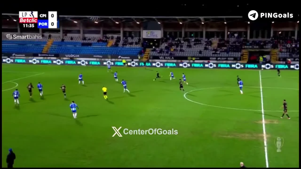 zaslepka skrotu video