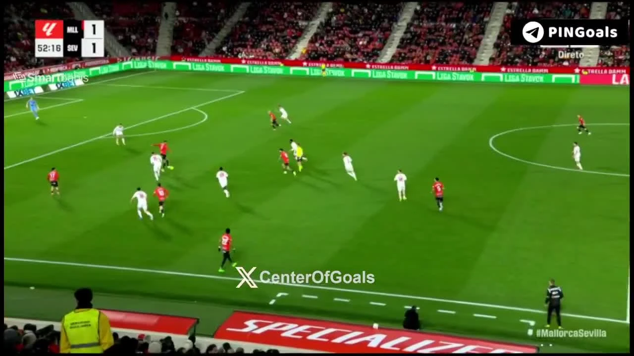 zaslepka skrotu video