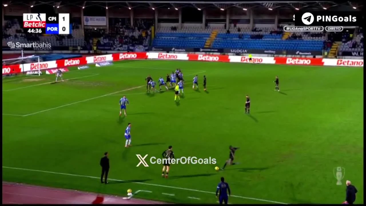 zaslepka skrotu video