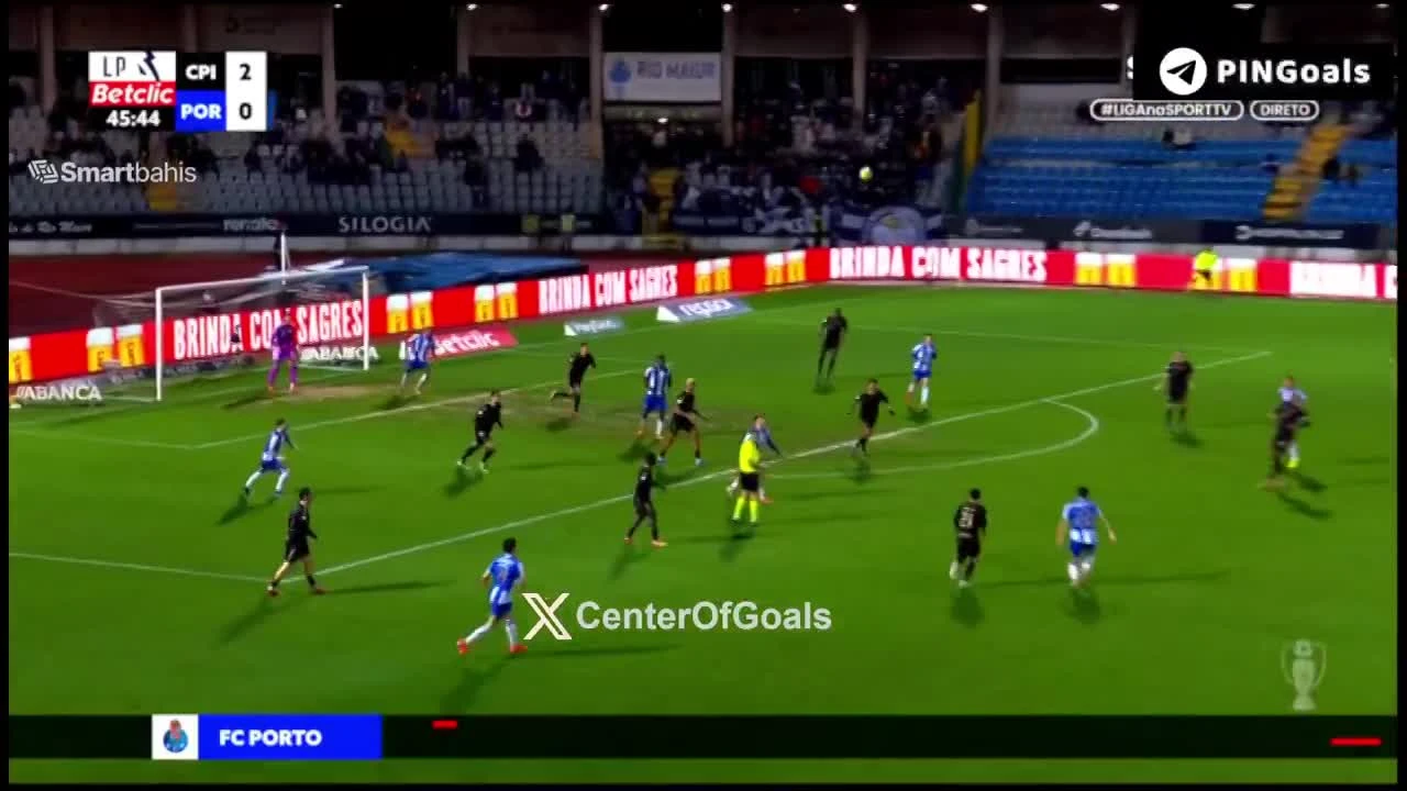 zaslepka skrotu video