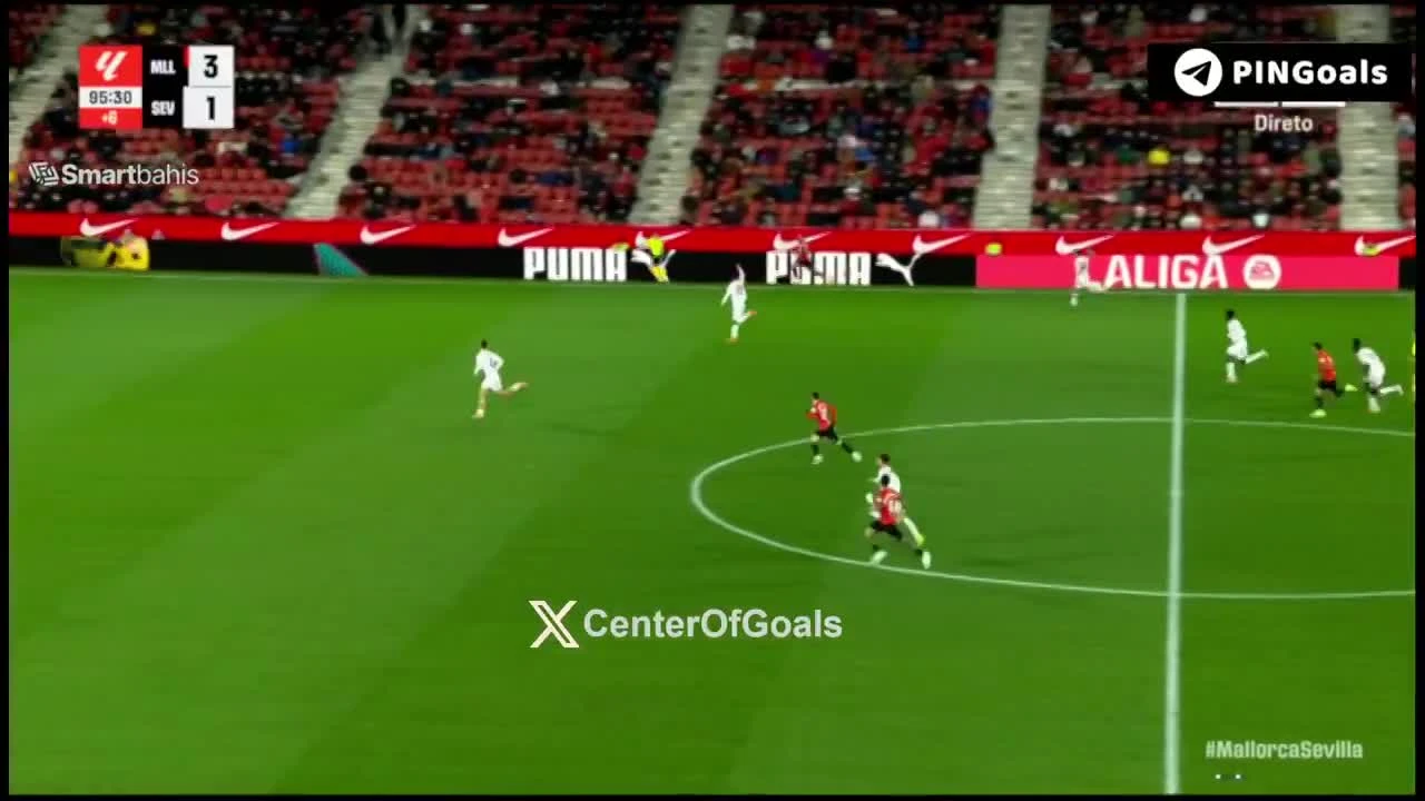 zaslepka skrotu video