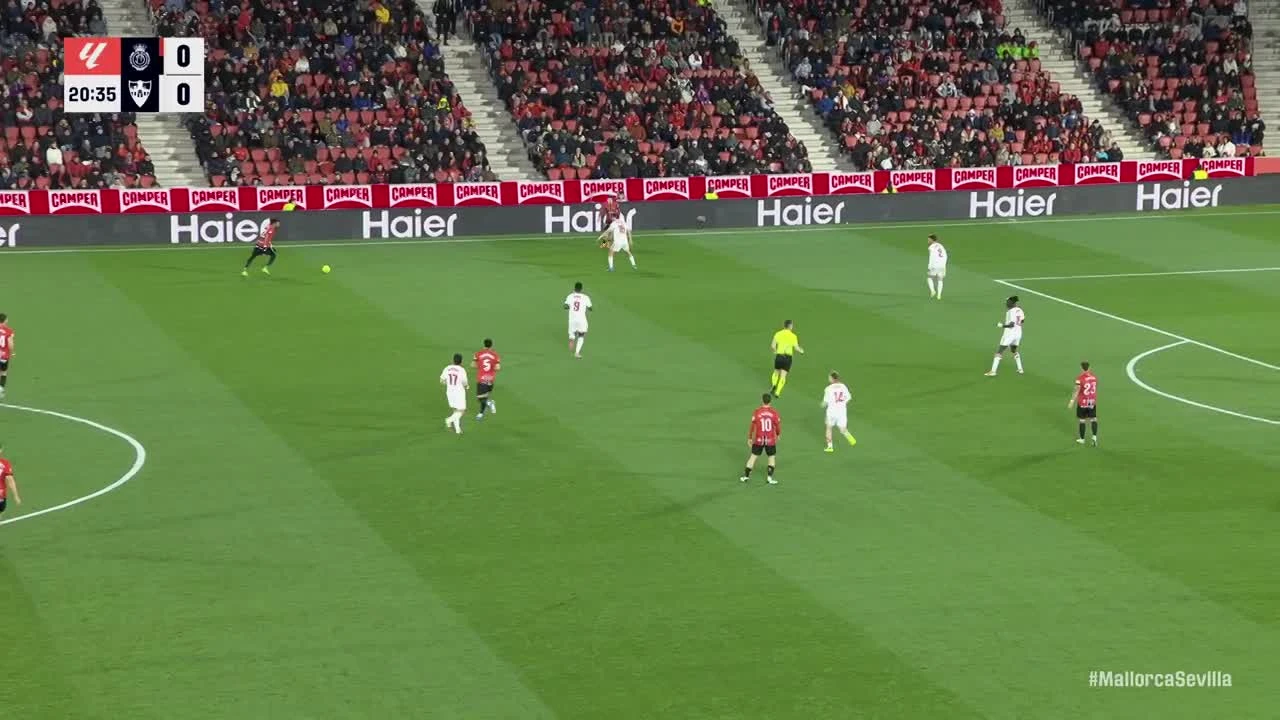 zaslepka skrotu video