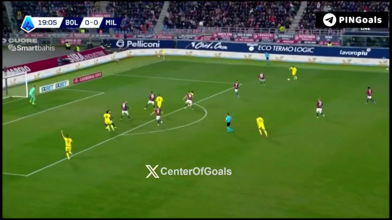 zaslepka skrotu video