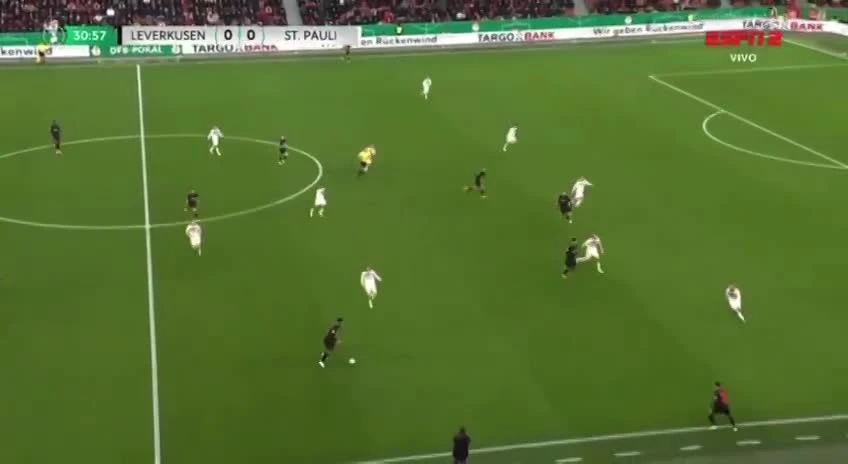 zaslepka skrotu video