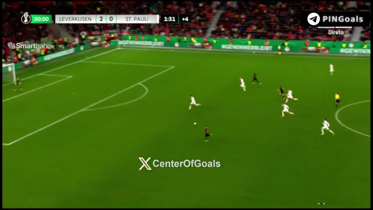 zaslepka skrotu video