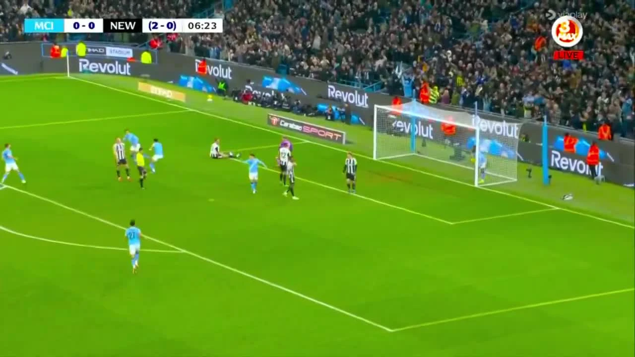 zaslepka skrotu video