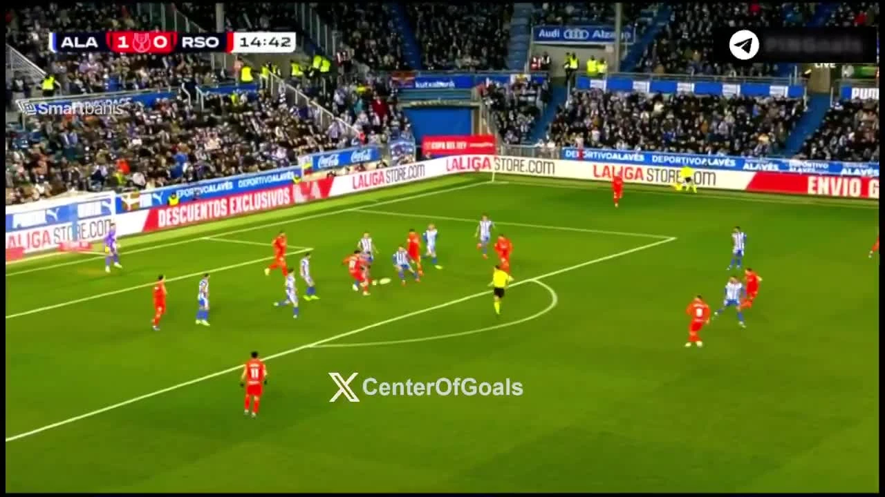 zaslepka skrotu video