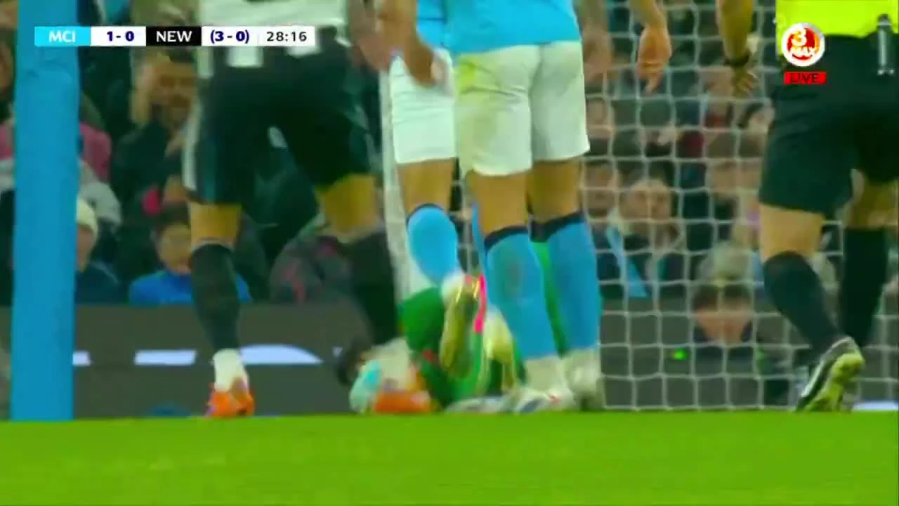 zaslepka skrotu video