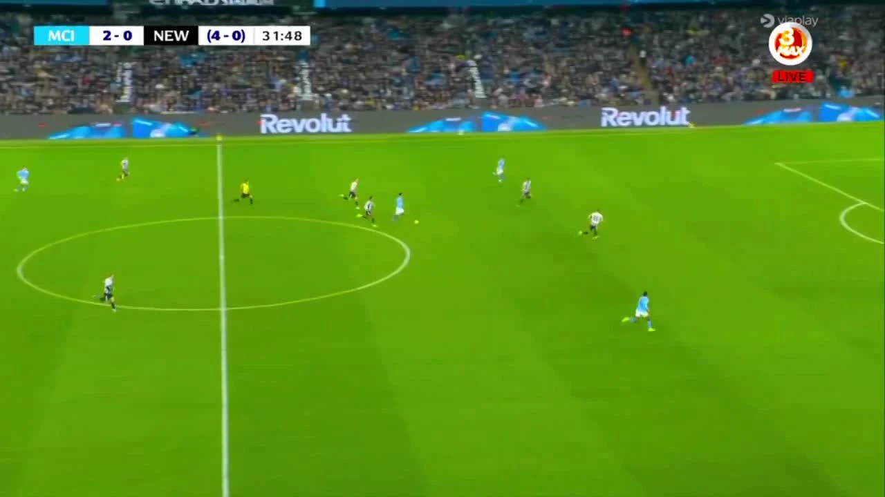 zaslepka skrotu video