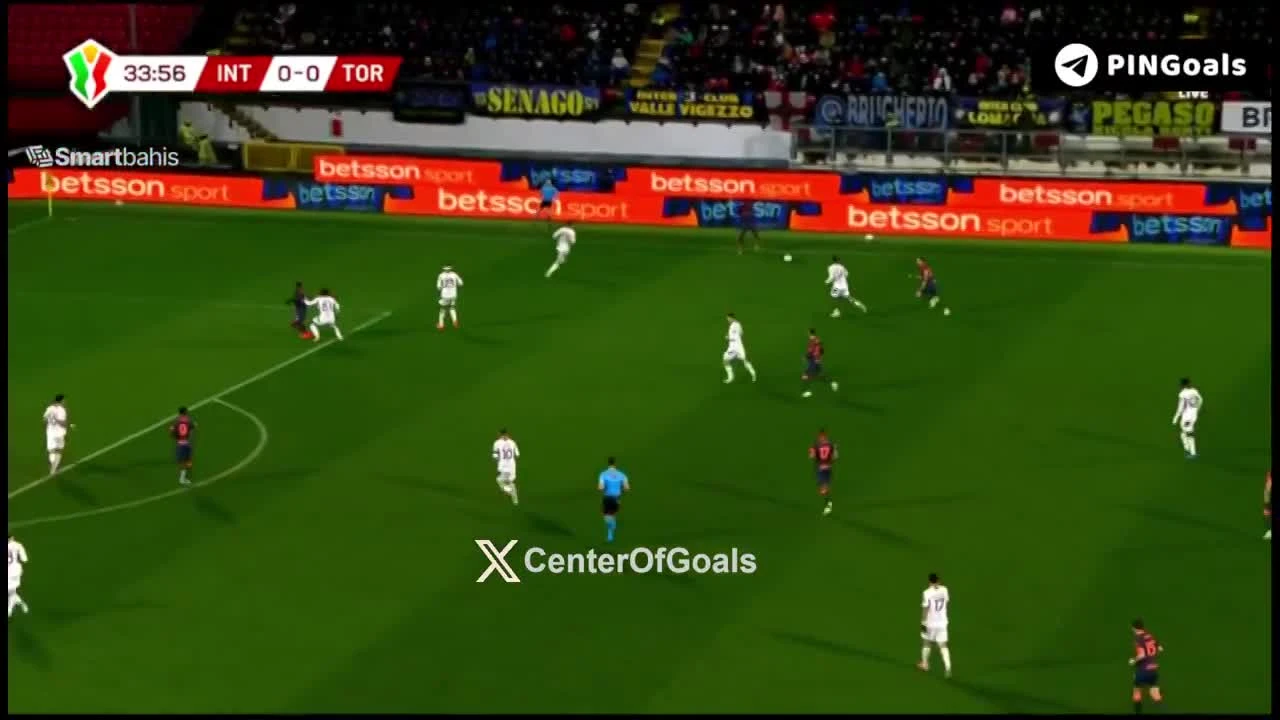 zaslepka skrotu video