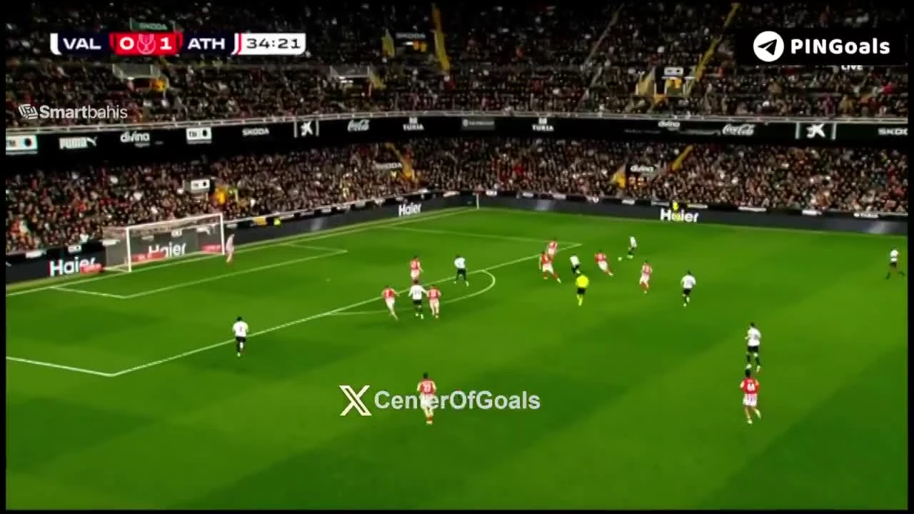 zaslepka skrotu video