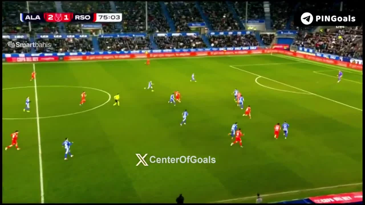 zaslepka skrotu video