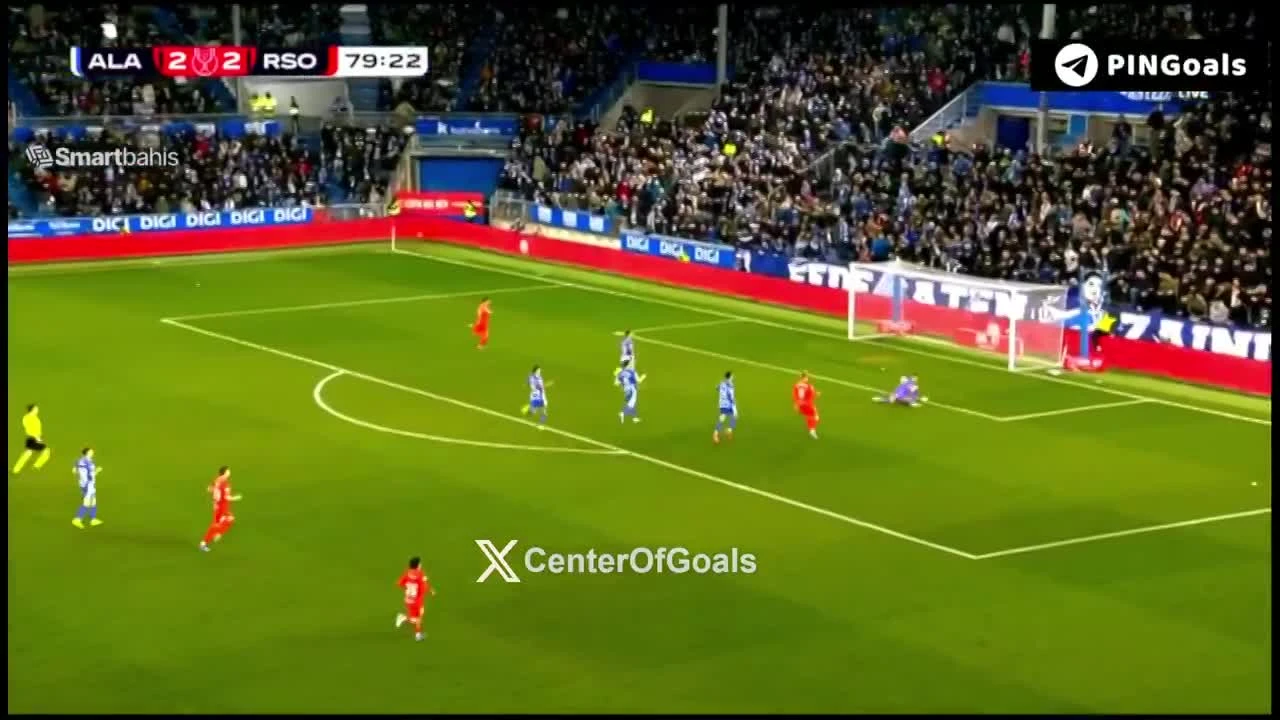 zaslepka skrotu video