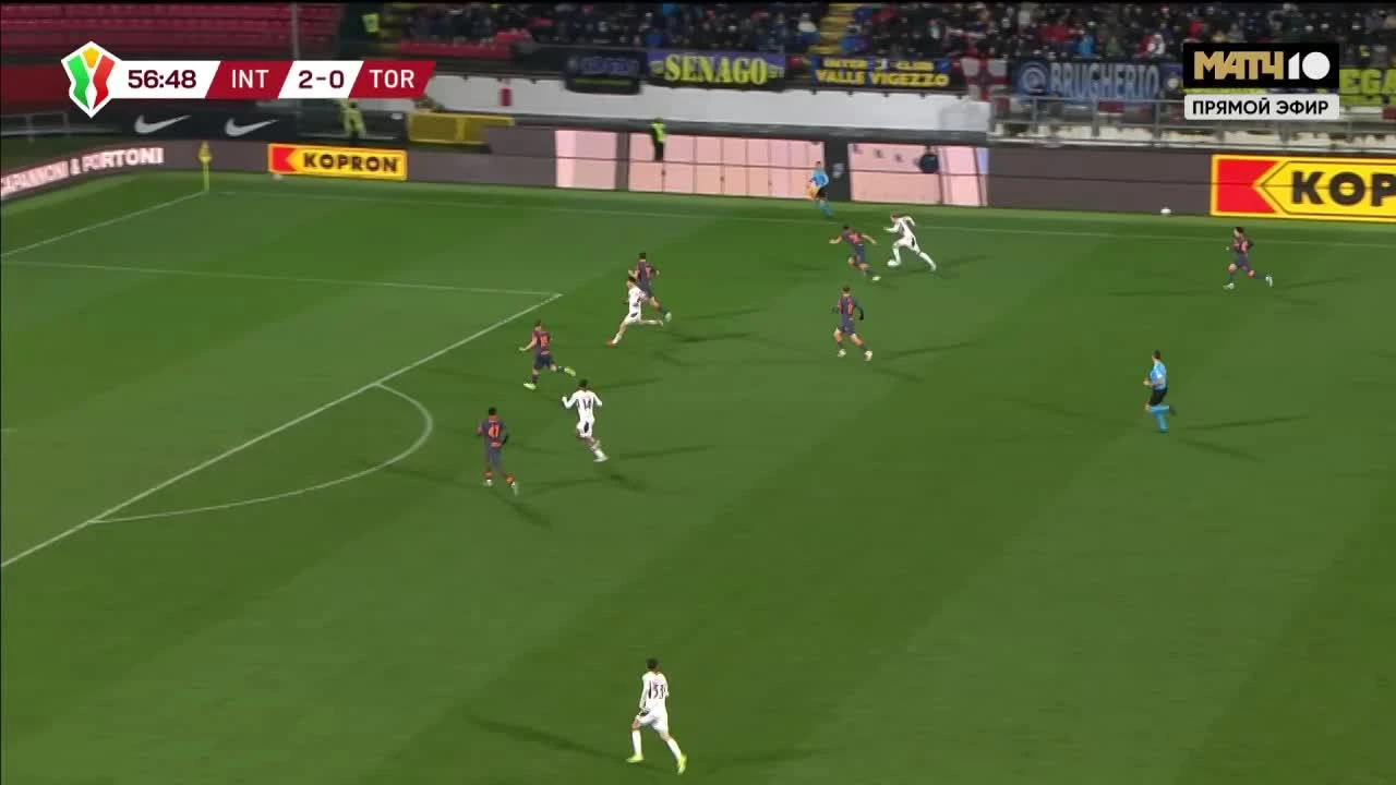 zaslepka skrotu video