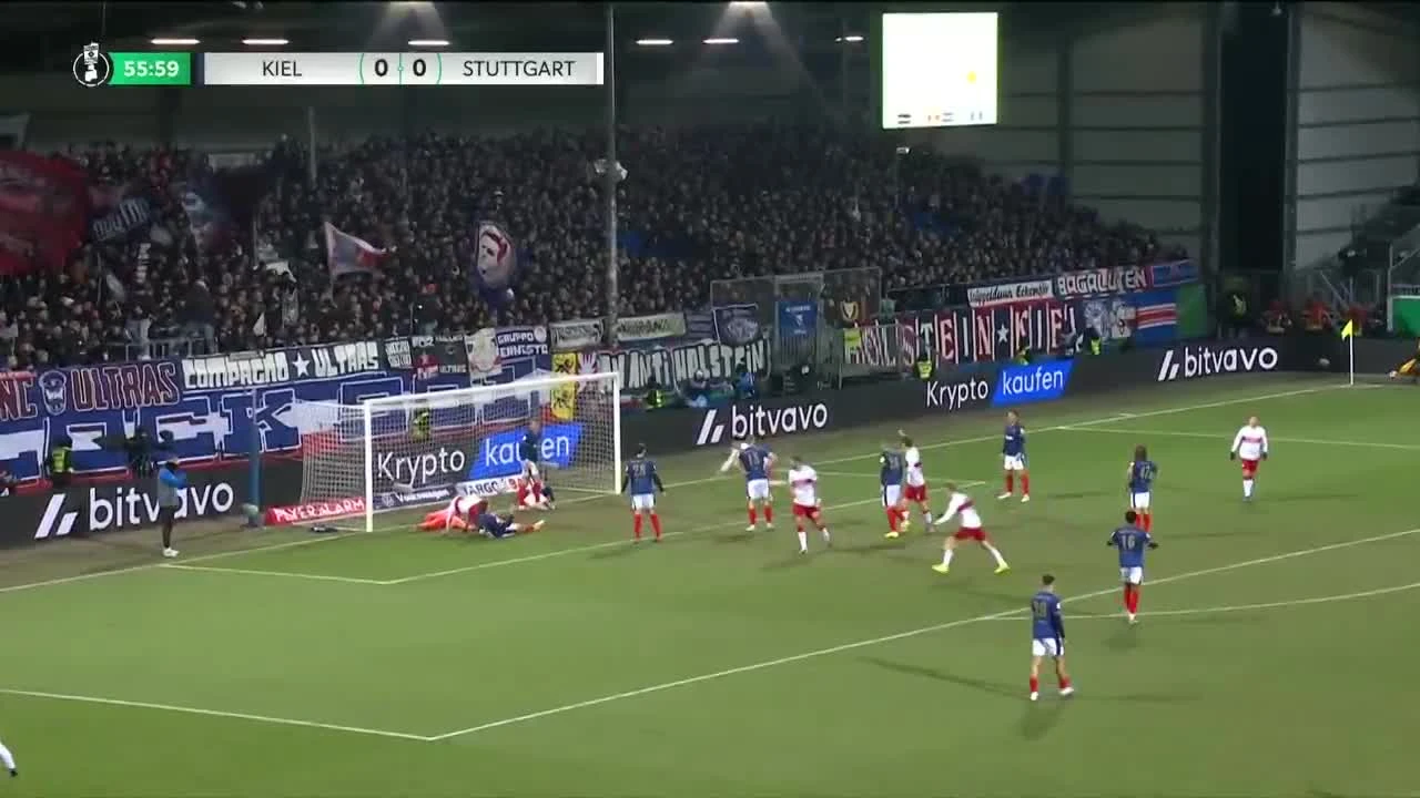 zaslepka skrotu video