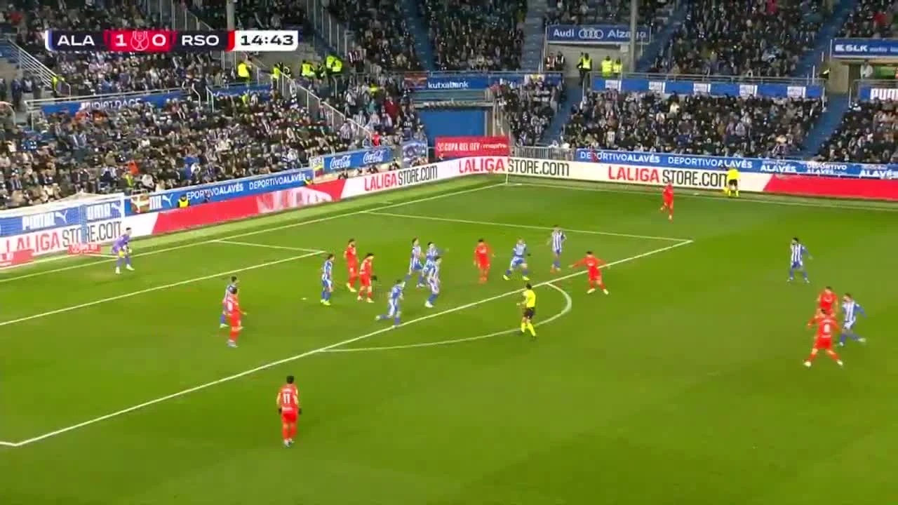 zaslepka skrotu video