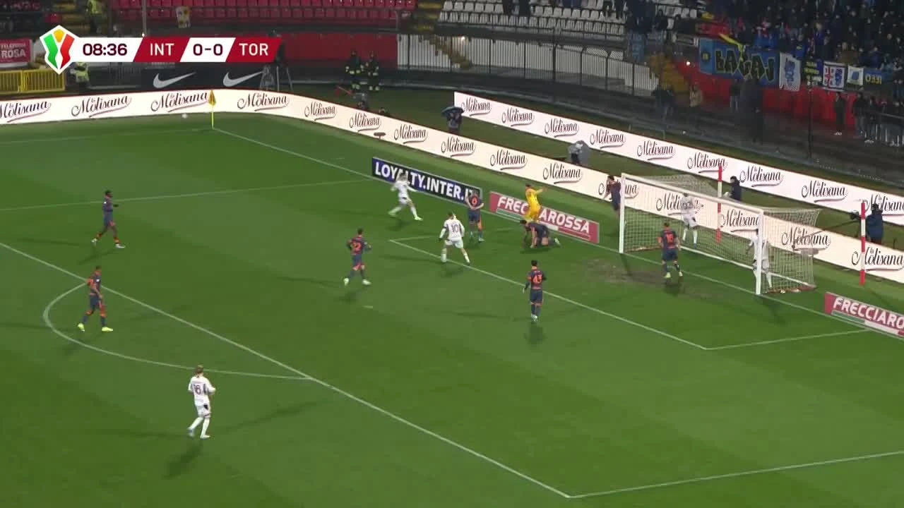 zaslepka skrotu video