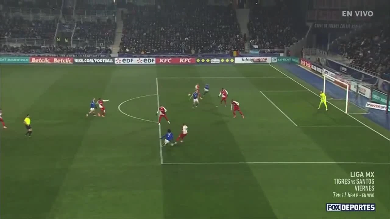 zaslepka skrotu video