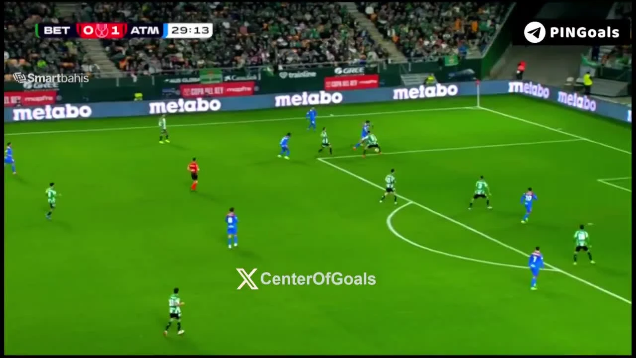 zaslepka skrotu video