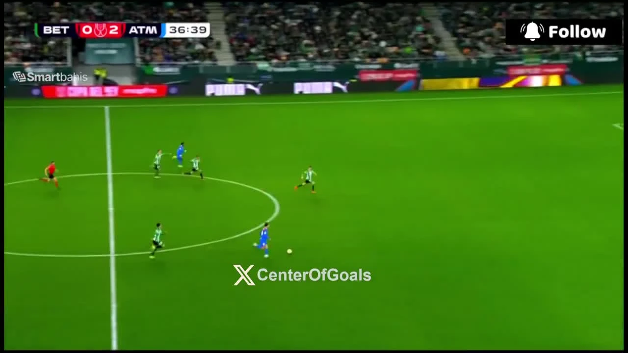 zaslepka skrotu video