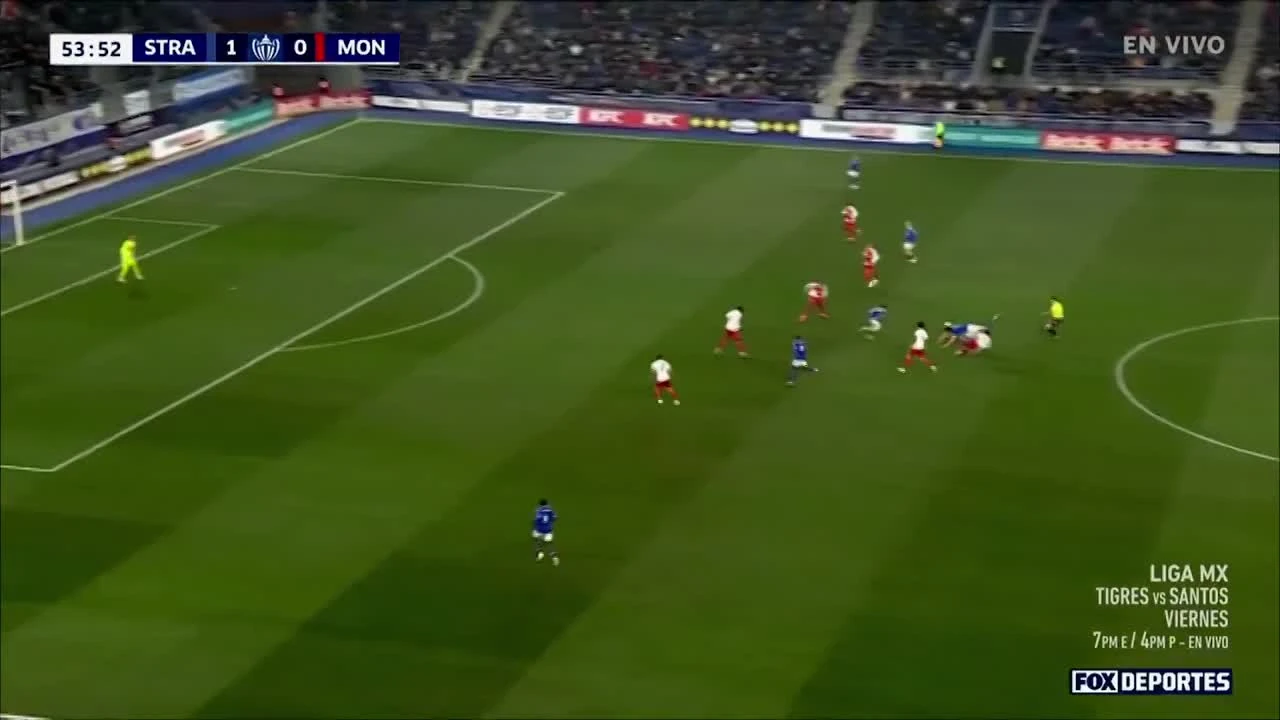 zaslepka skrotu video