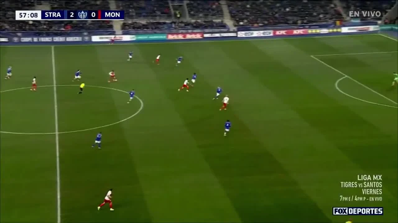 zaslepka skrotu video