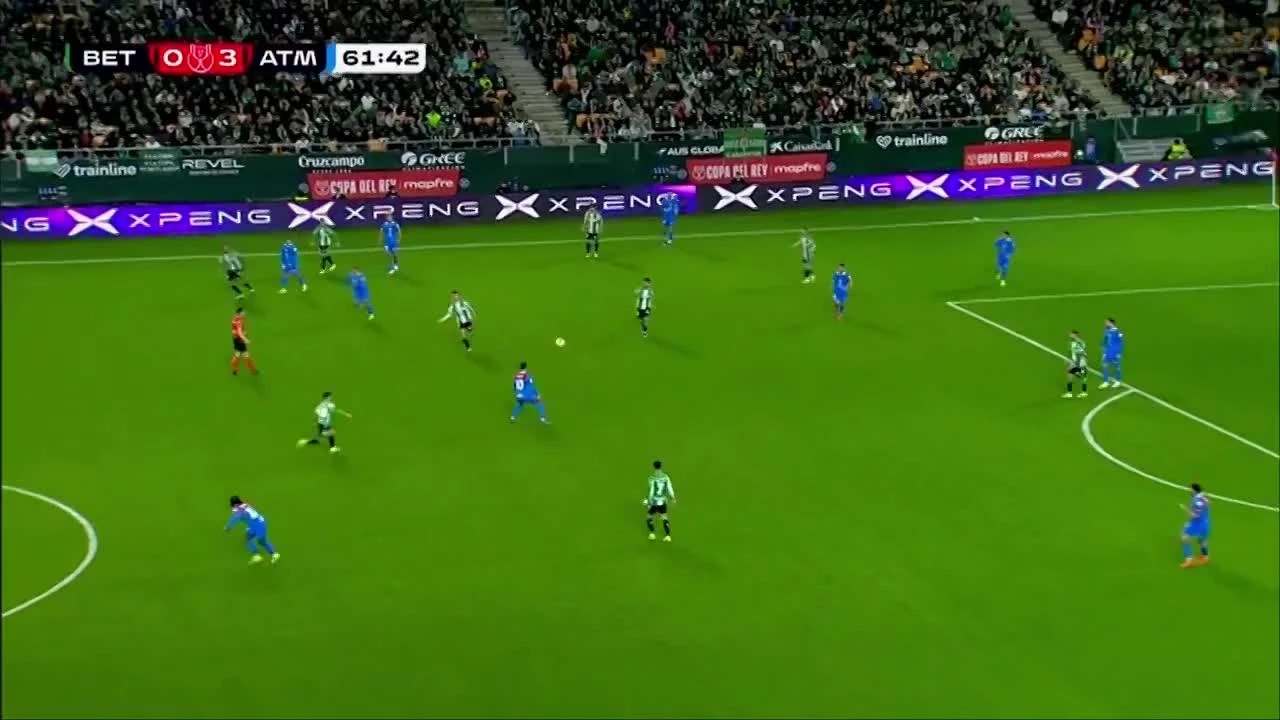 zaslepka skrotu video