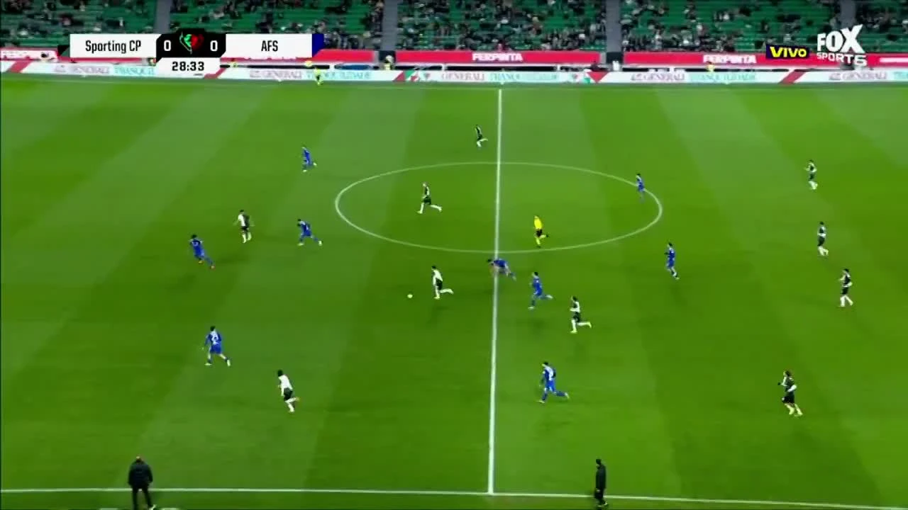 zaslepka skrotu video