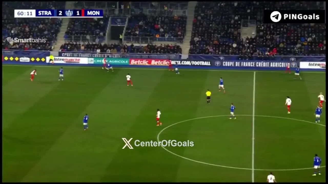 zaslepka skrotu video