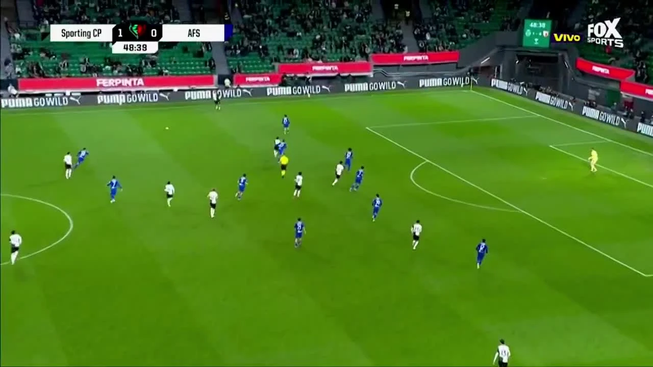 zaslepka skrotu video