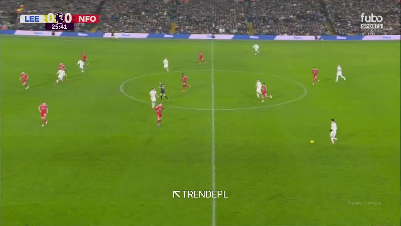 zaslepka skrotu video