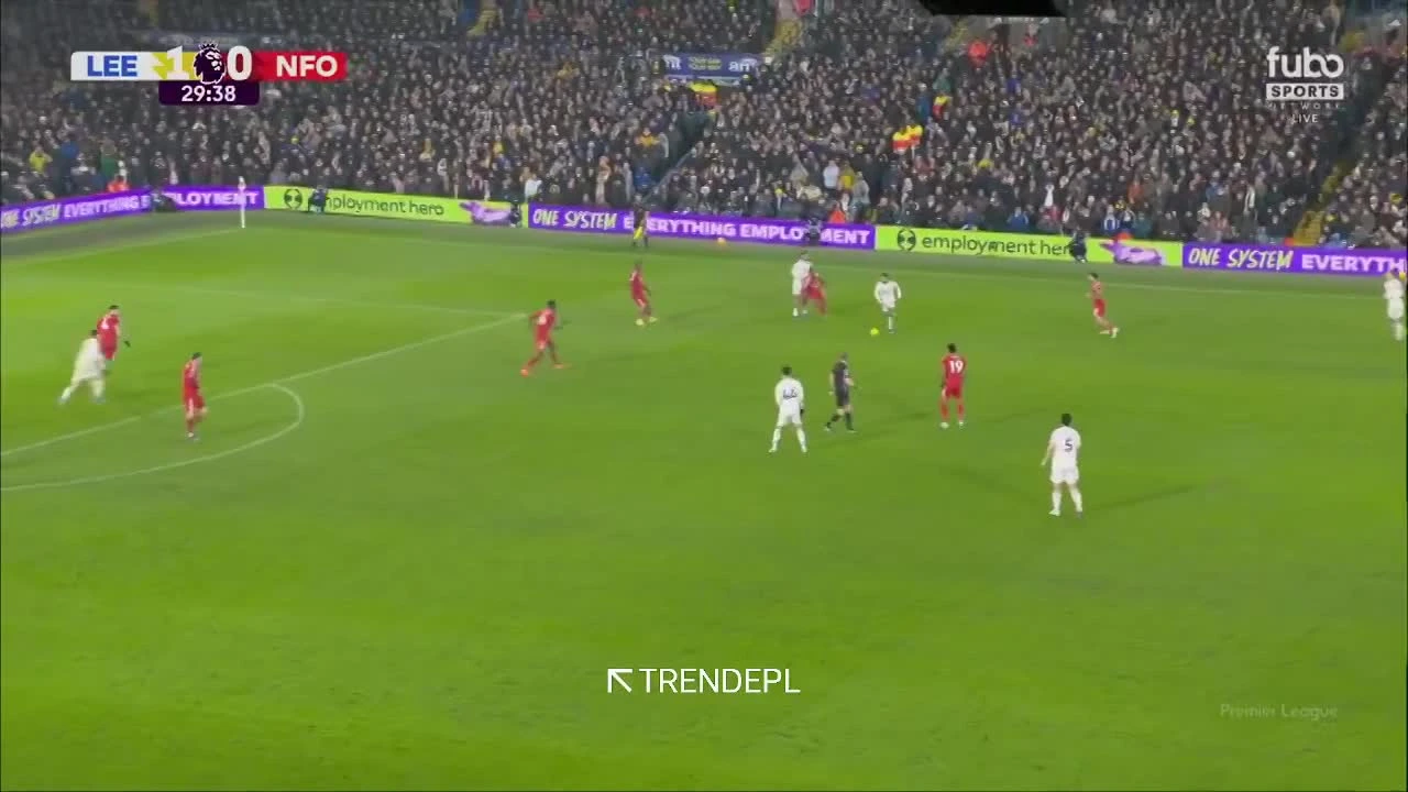 zaslepka skrotu video