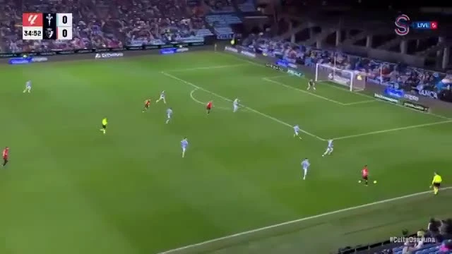 zaslepka skrotu video