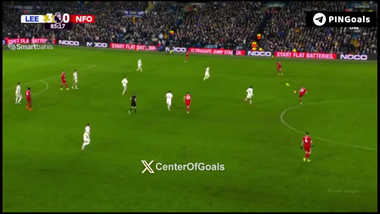 zaslepka skrotu video