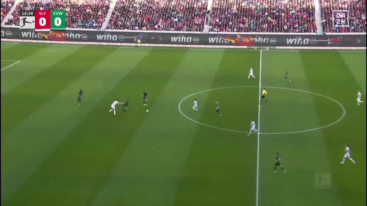 zaslepka skrotu video