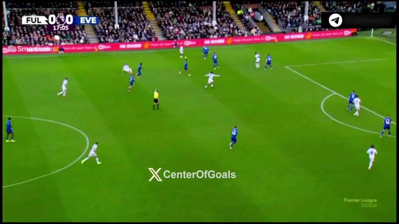 zaslepka skrotu video