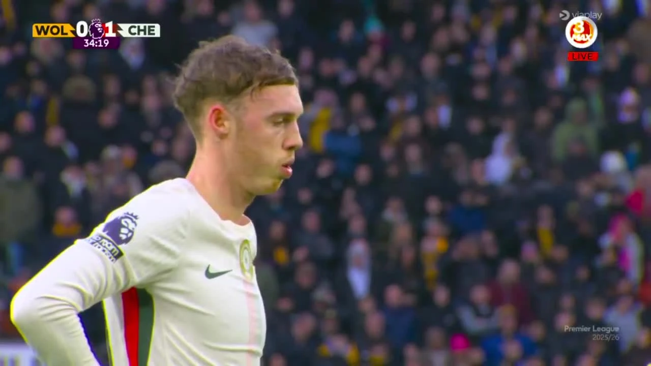 zaslepka skrotu video