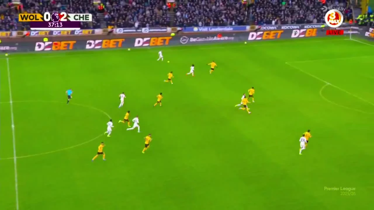 zaslepka skrotu video