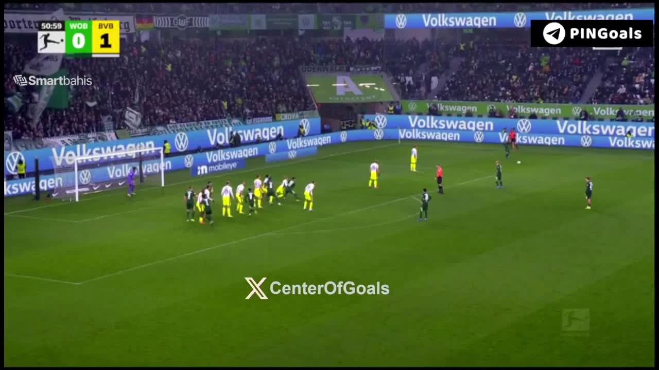 zaslepka skrotu video