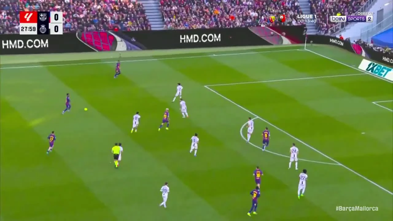 zaslepka skrotu video