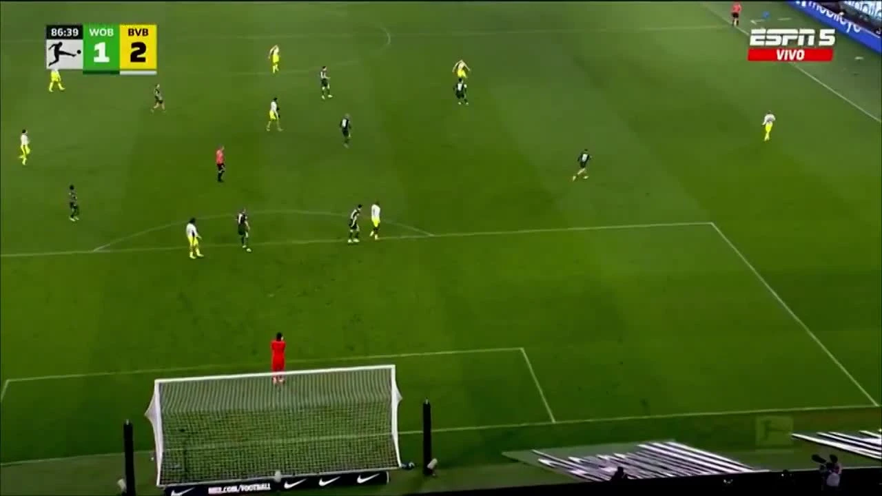 zaslepka skrotu video