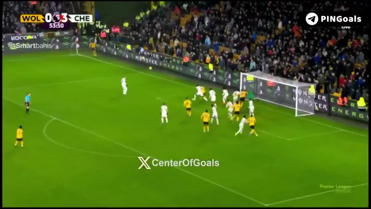 zaslepka skrotu video