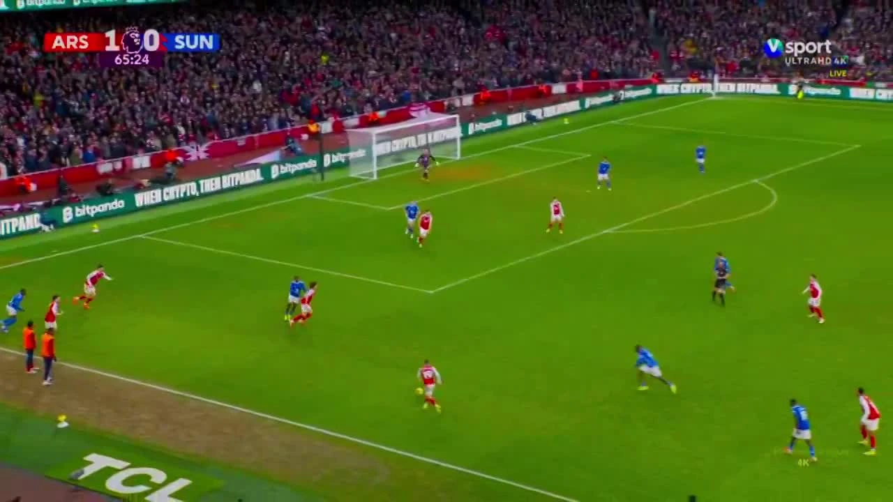 zaslepka skrotu video