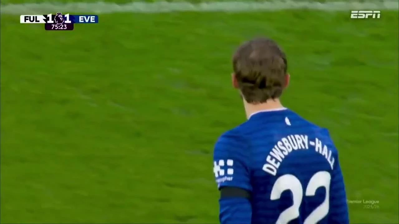 zaslepka skrotu video