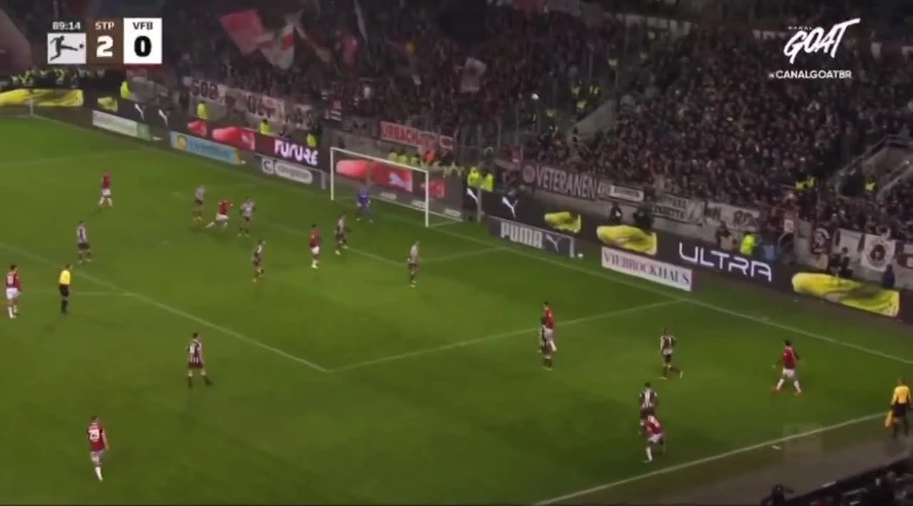 zaslepka skrotu video