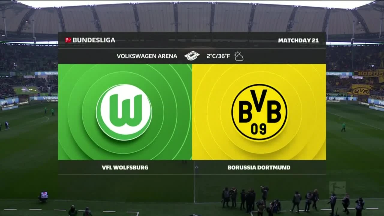 zaslepka skrotu video