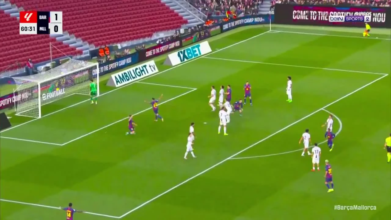 zaslepka skrotu video