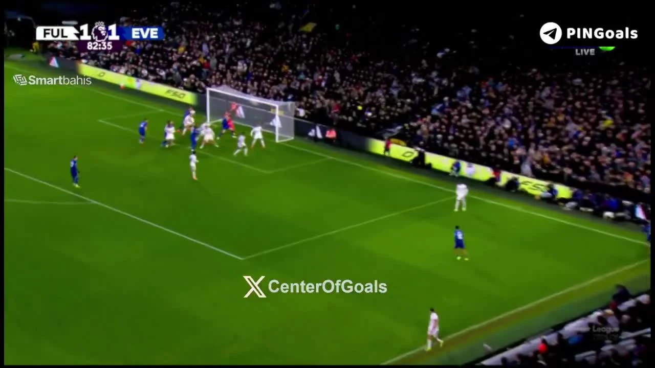 zaslepka skrotu video